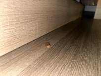 Snus aka tobacco on the floor