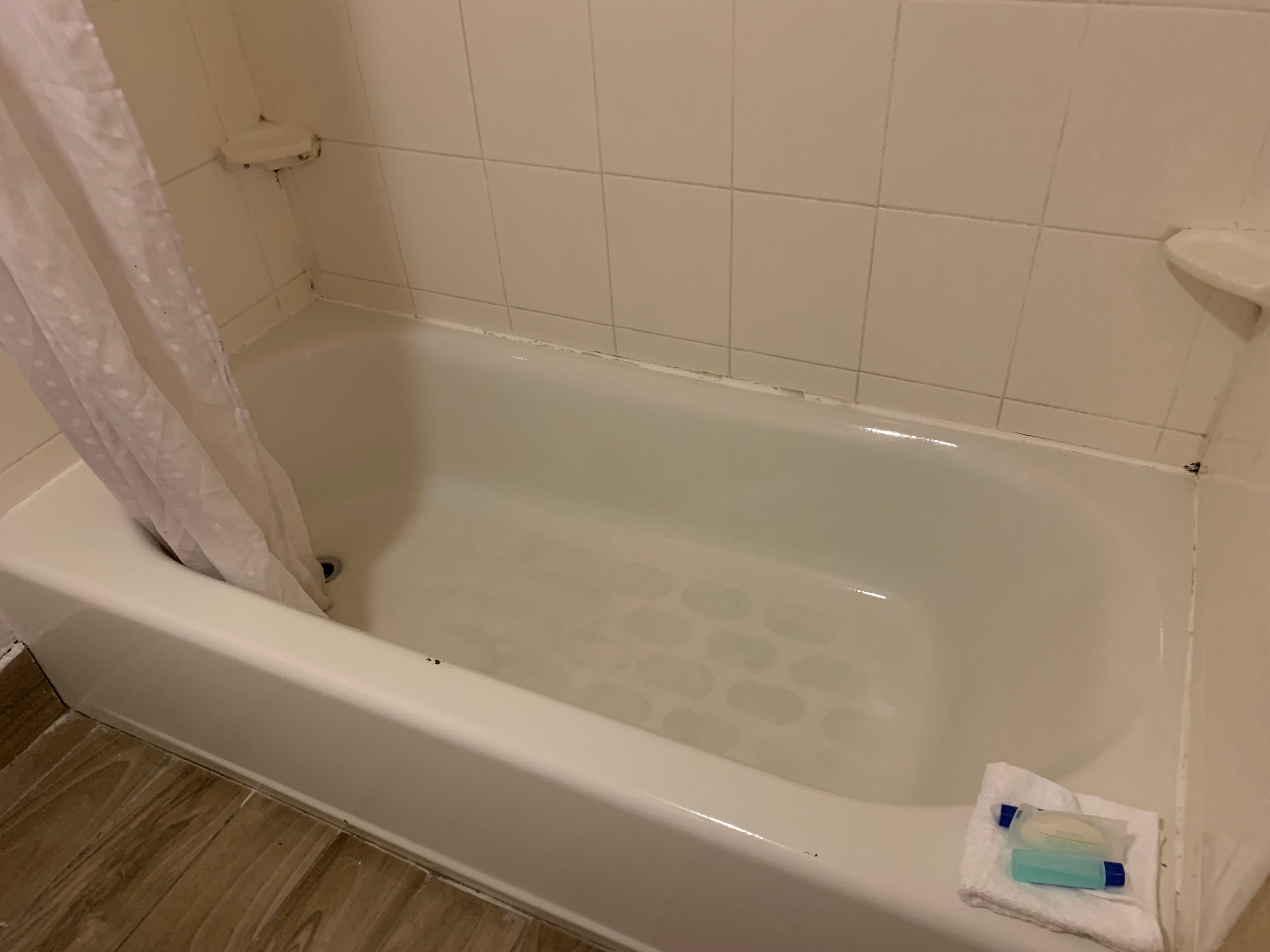 Notice the moldy areas. 