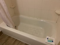 Notice the moldy areas.