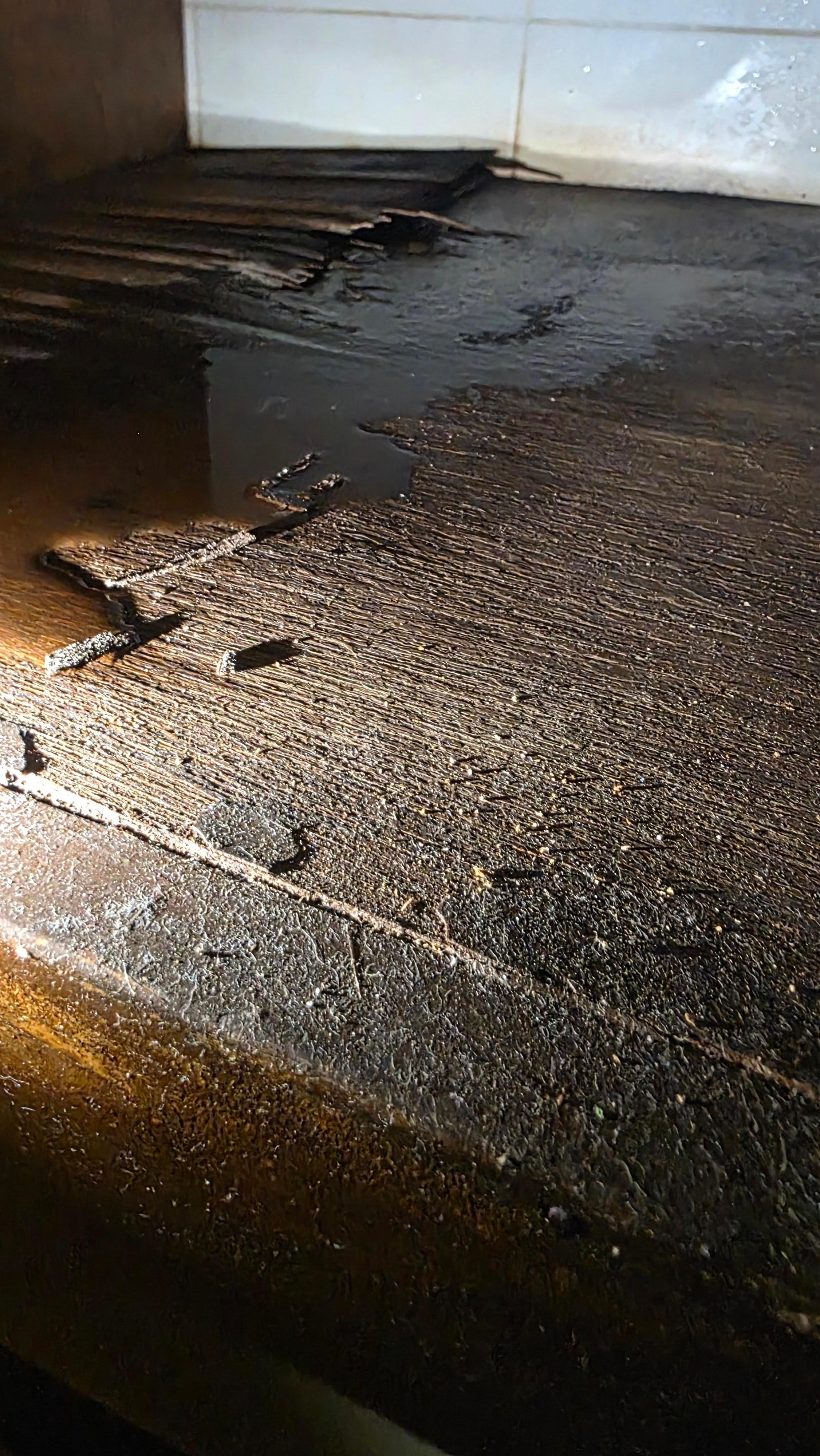 El baño tenia fuga de agua y la madera podrida y ademas bichitos 