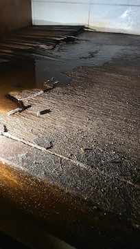 El baño tenia fuga de agua y la madera podrida y ademas bichitos