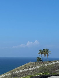 Spotted whales from decks and pool area.