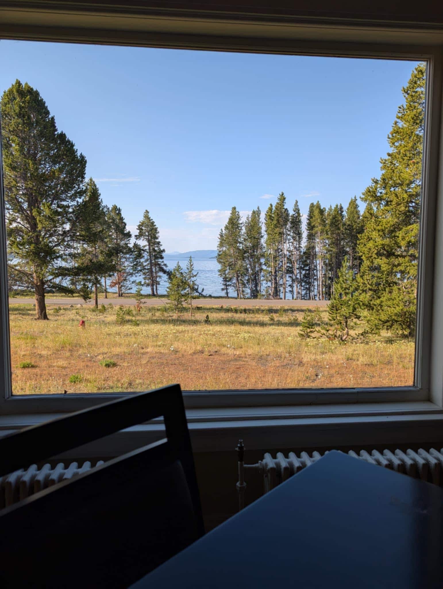 Outside the dining room window for breakfast.