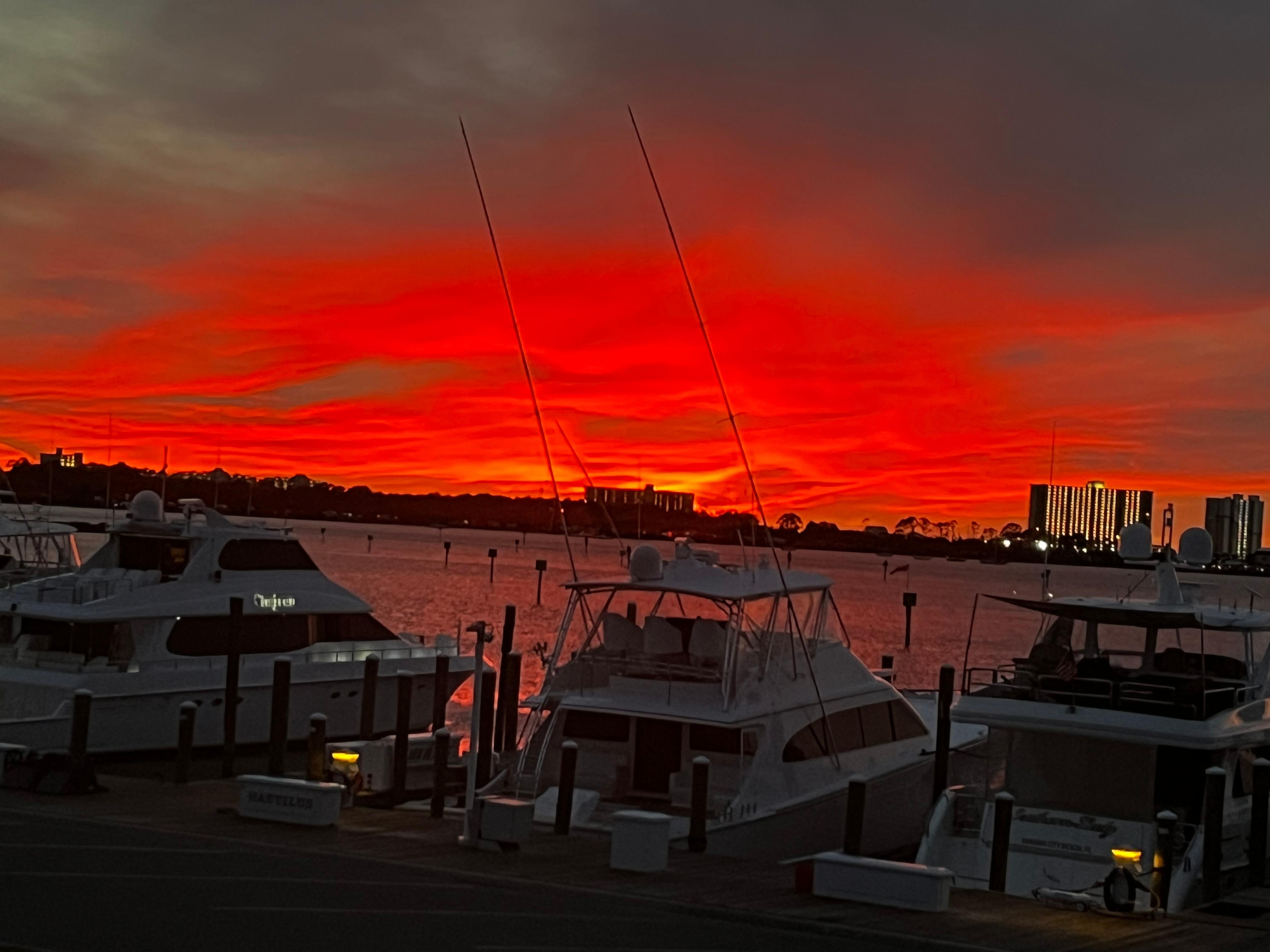 Stunning  Views from living room windows !