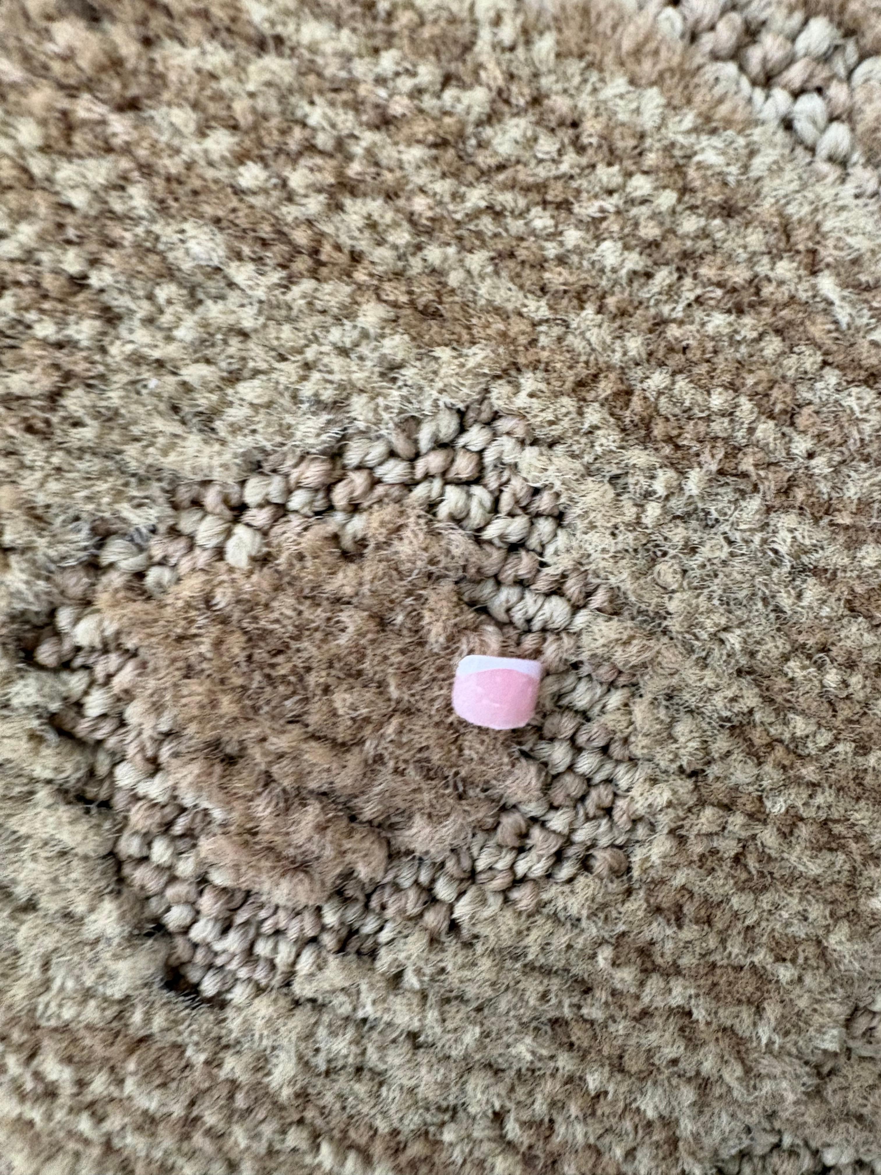 Toenail