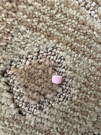 Toenail