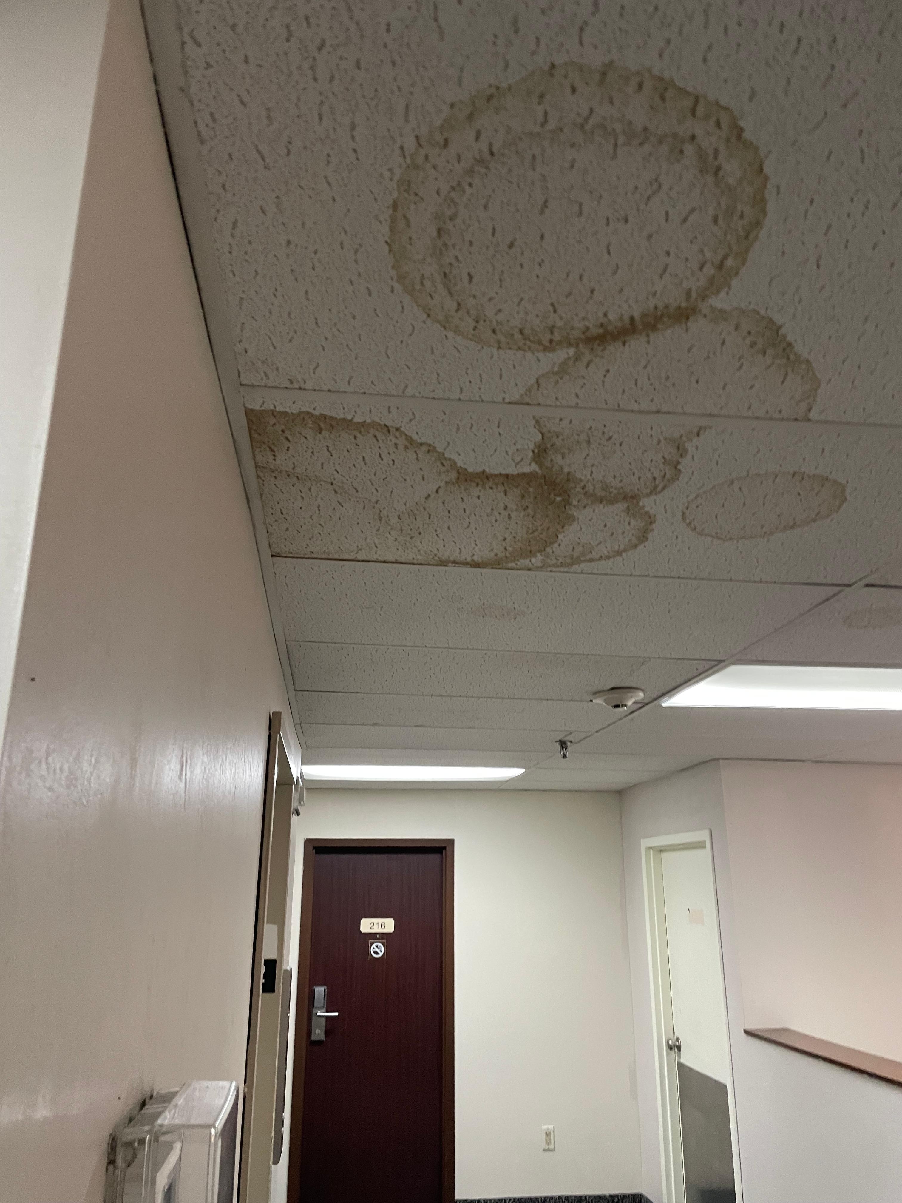 Second floor ceiling tiles. With stained carpet due to leaks over time