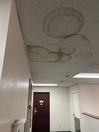 Second floor ceiling tiles. With stained carpet due to leaks over time