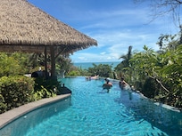 The gorgeous pool