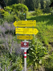 routes near apartment