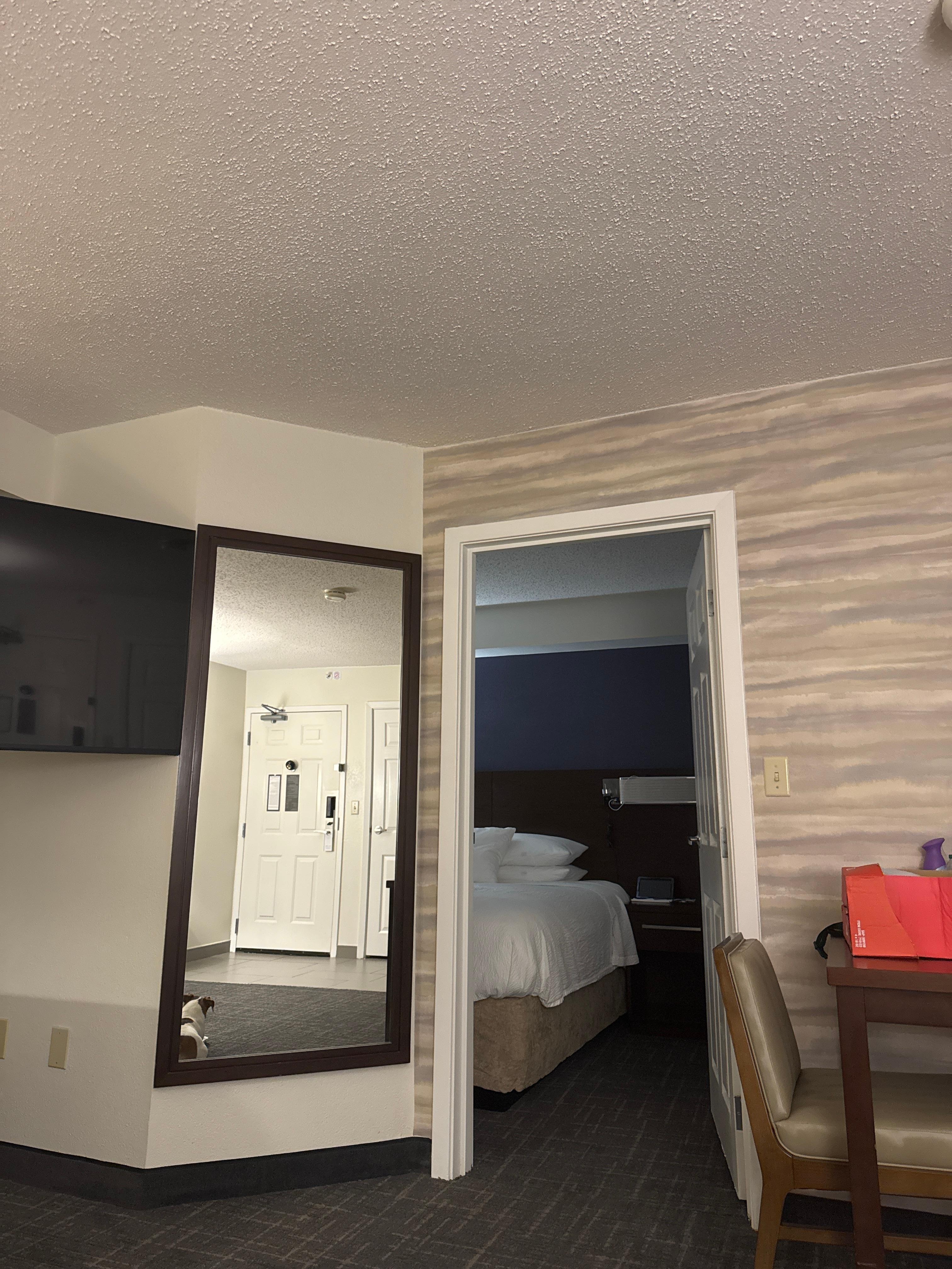 Large living room area