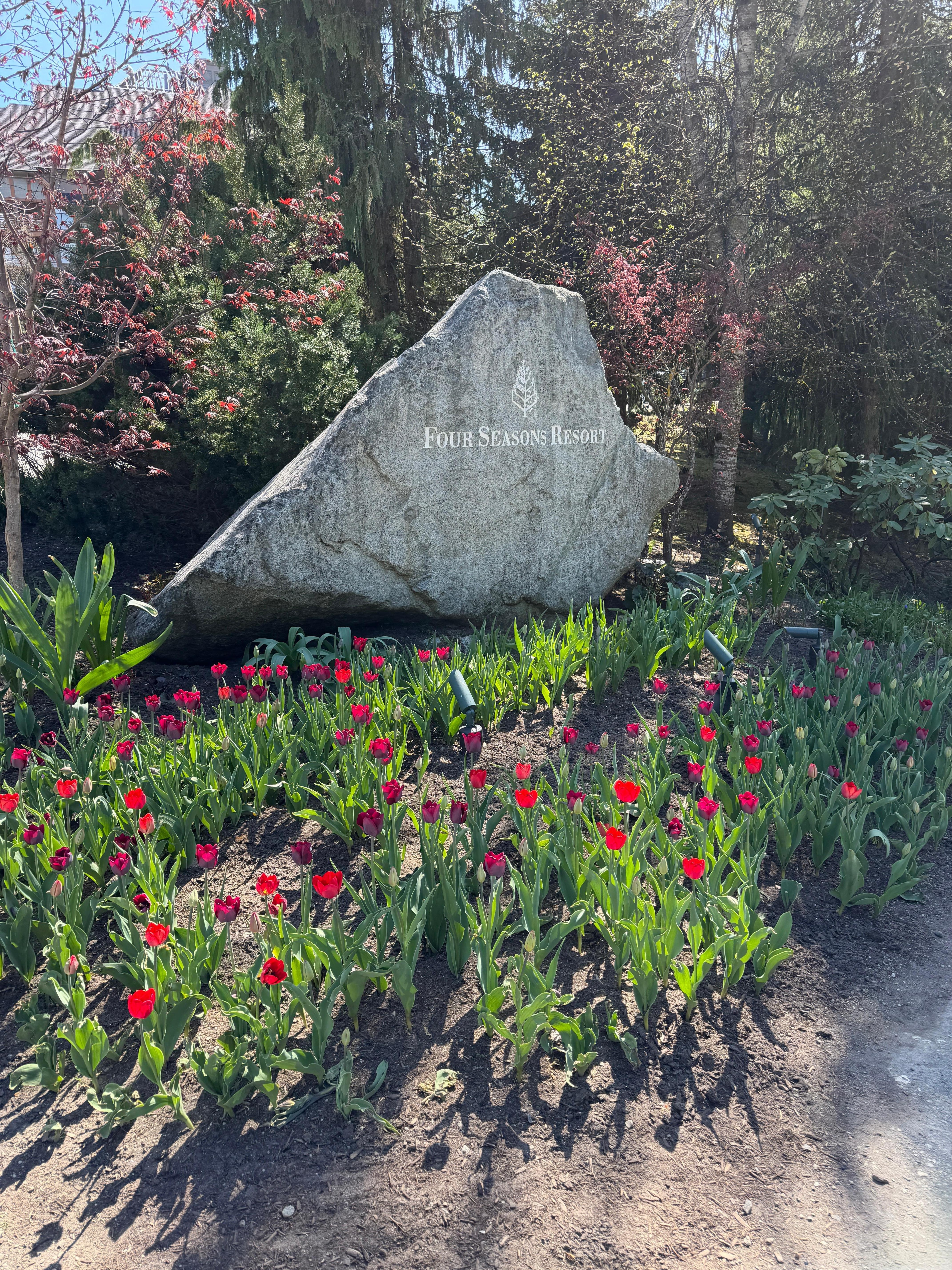Beautiful landscaping