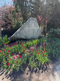 Beautiful landscaping