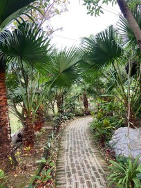 Jardi