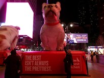 EZ walk to the Garden and Westminster Dog Show