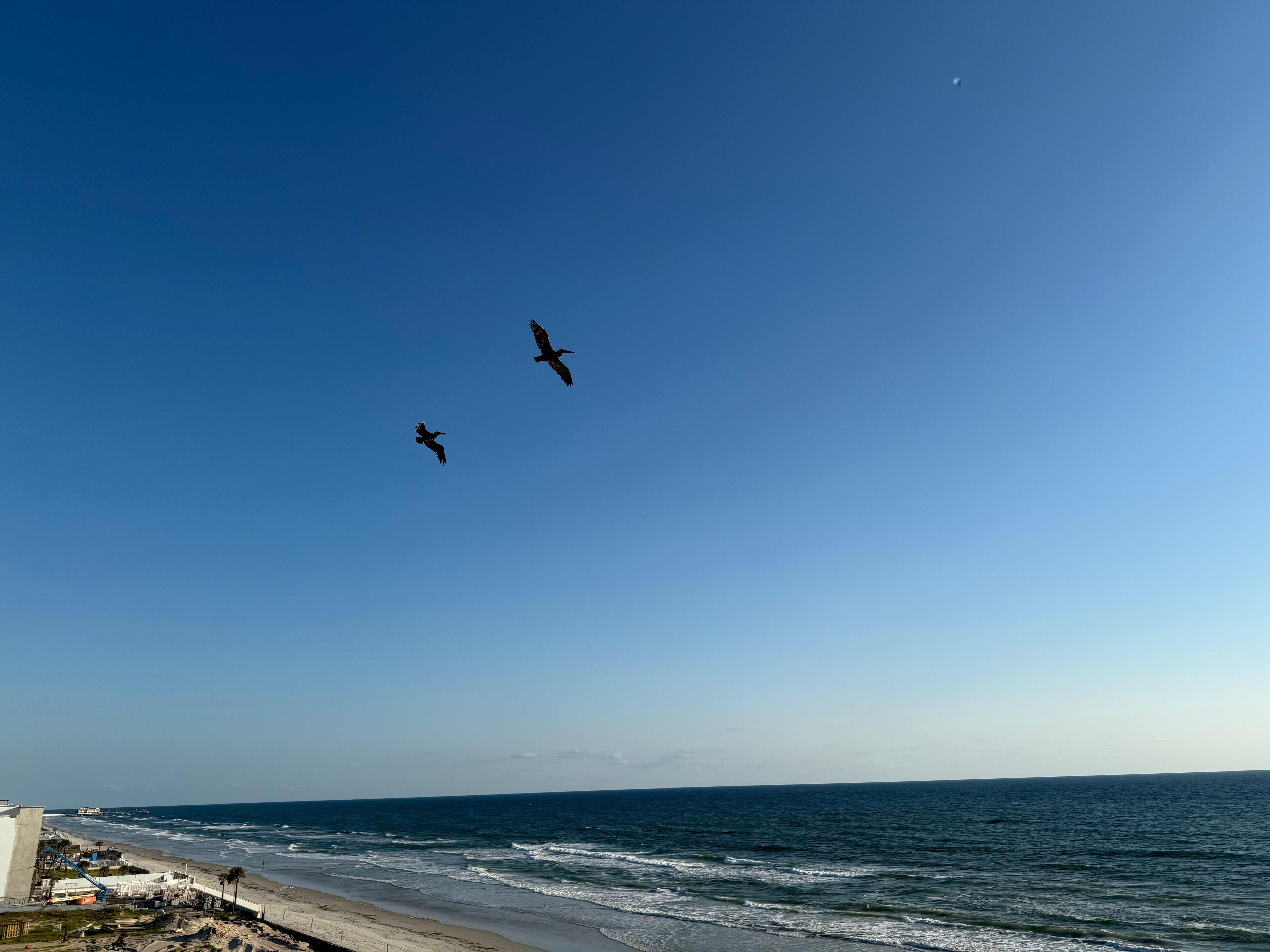 View from our balcony.