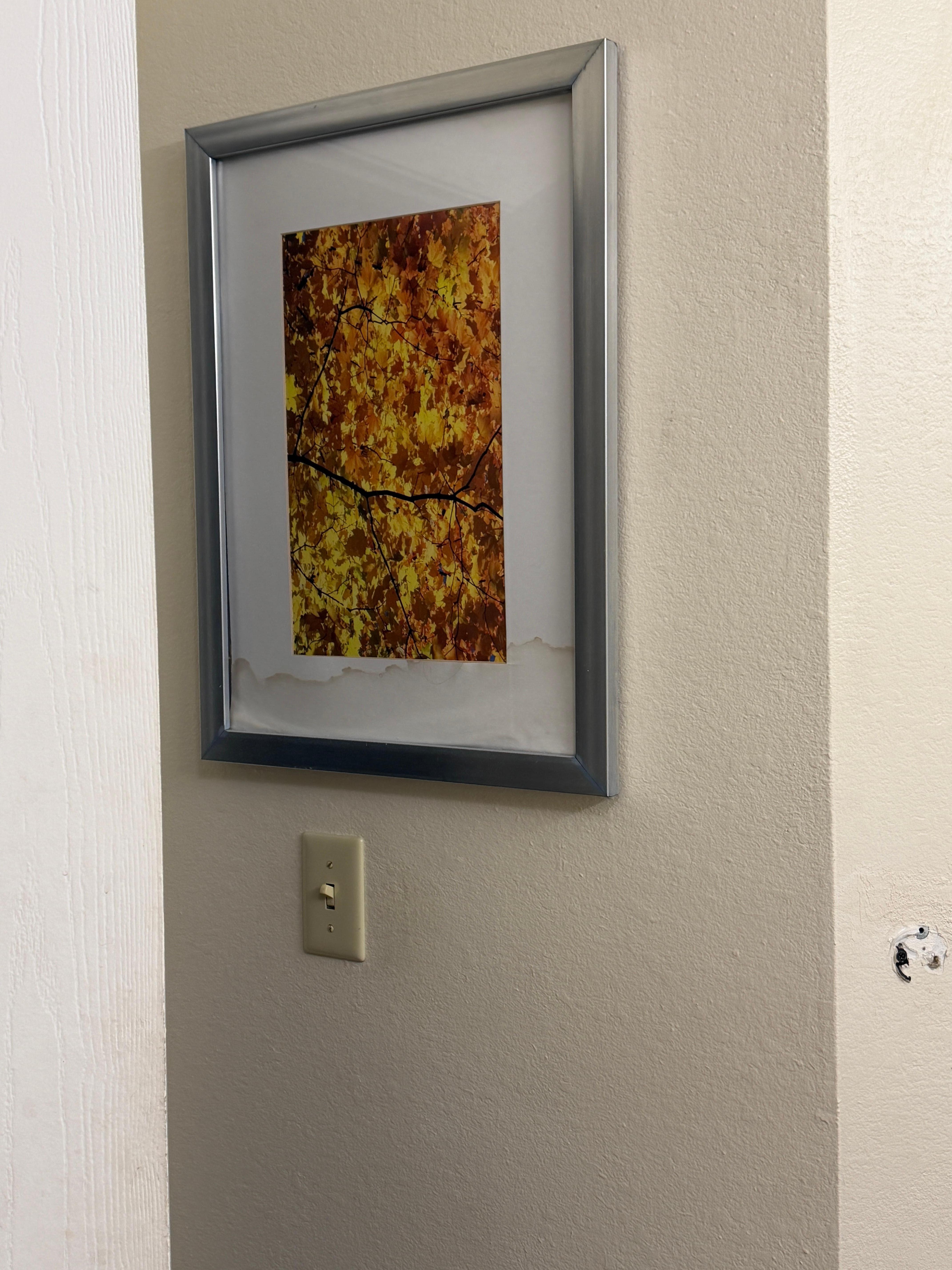 Pictures on wall even have moisture damage