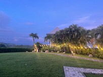 View at 5am. The howler monkeys woke us up. 😂