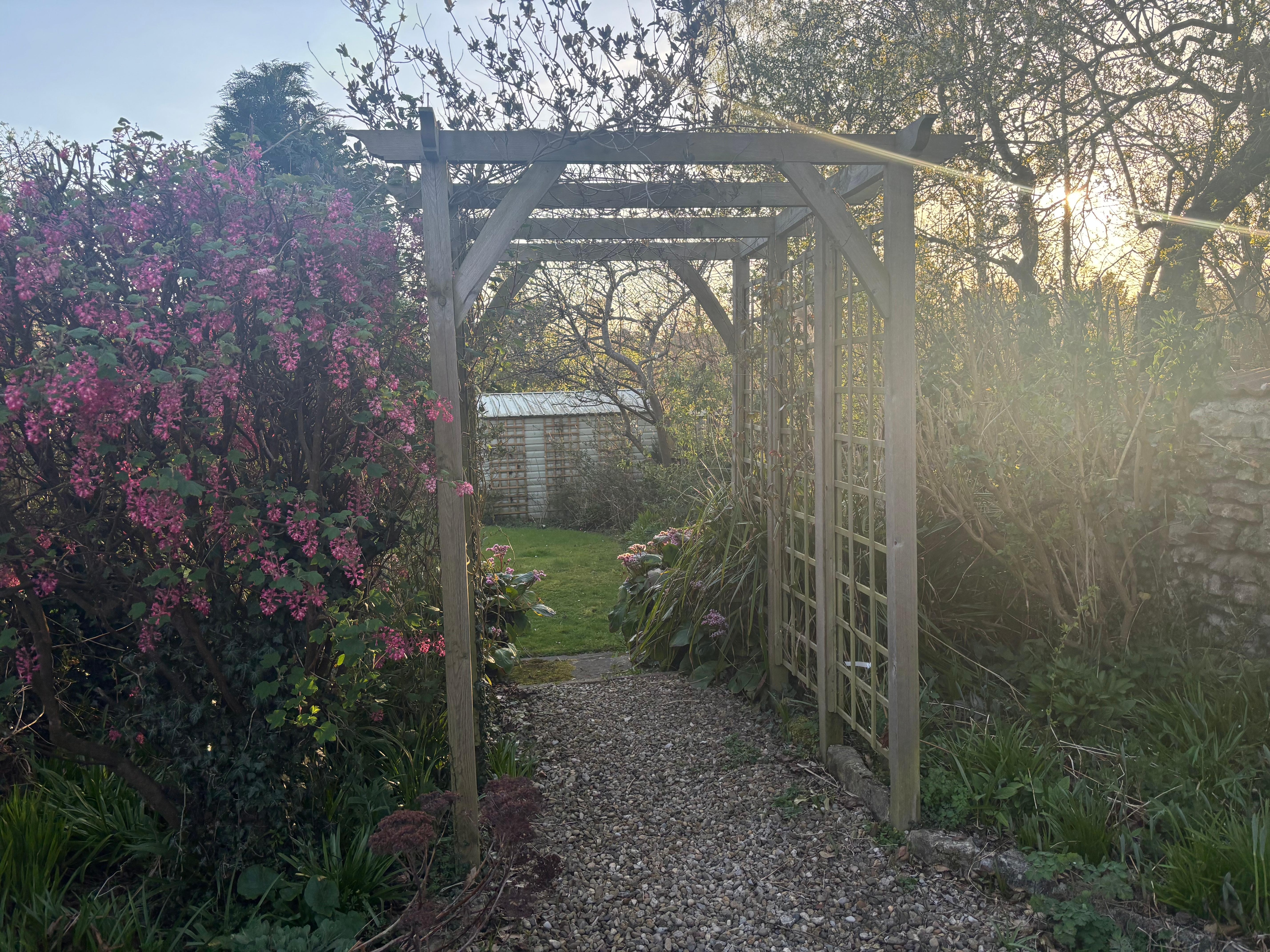 Beautiful garden area