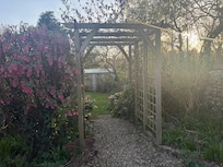 Beautiful garden area