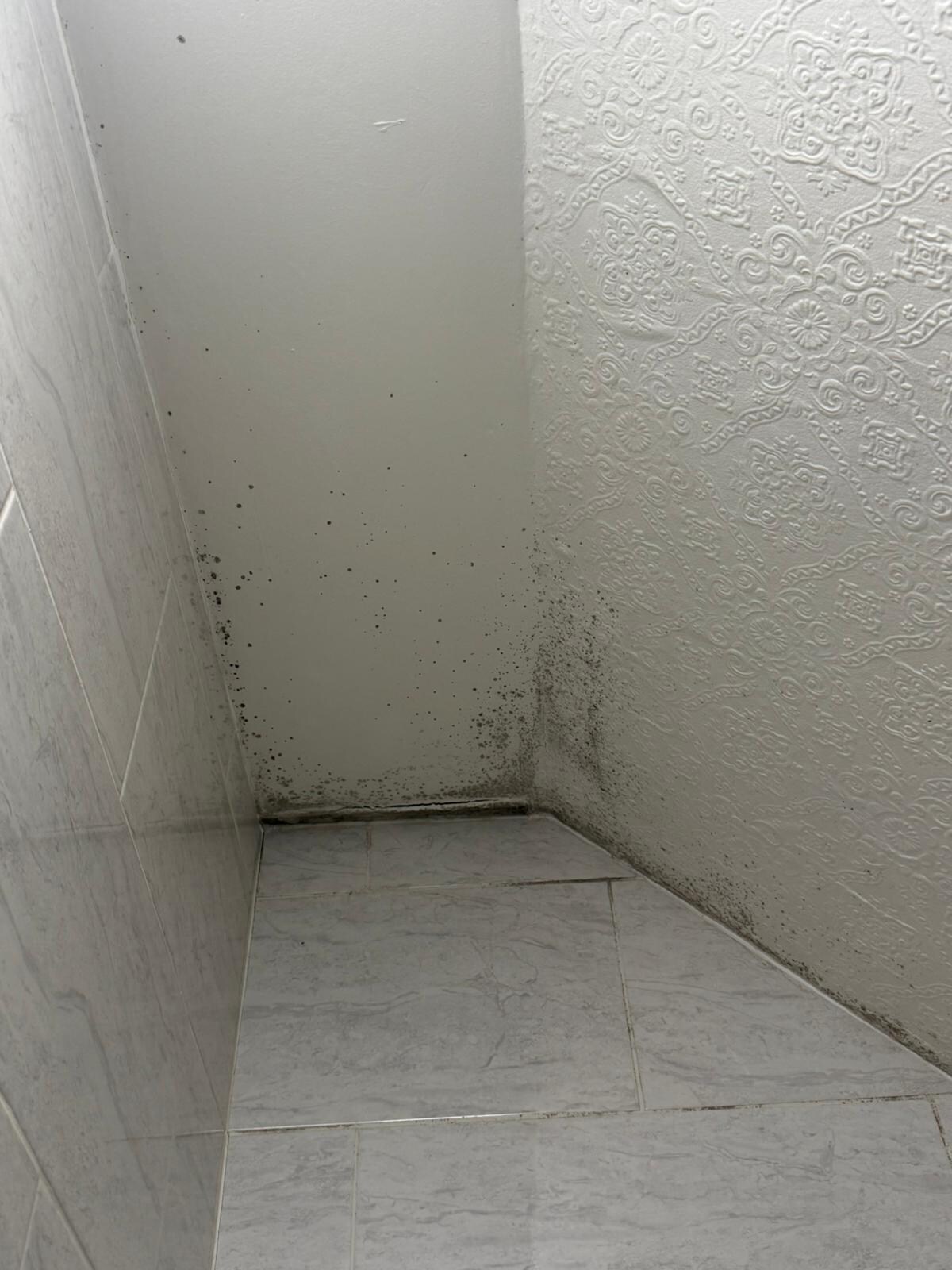 Large patches of mold in the bathroom