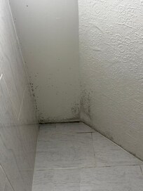 Large patches of mold in the bathroom