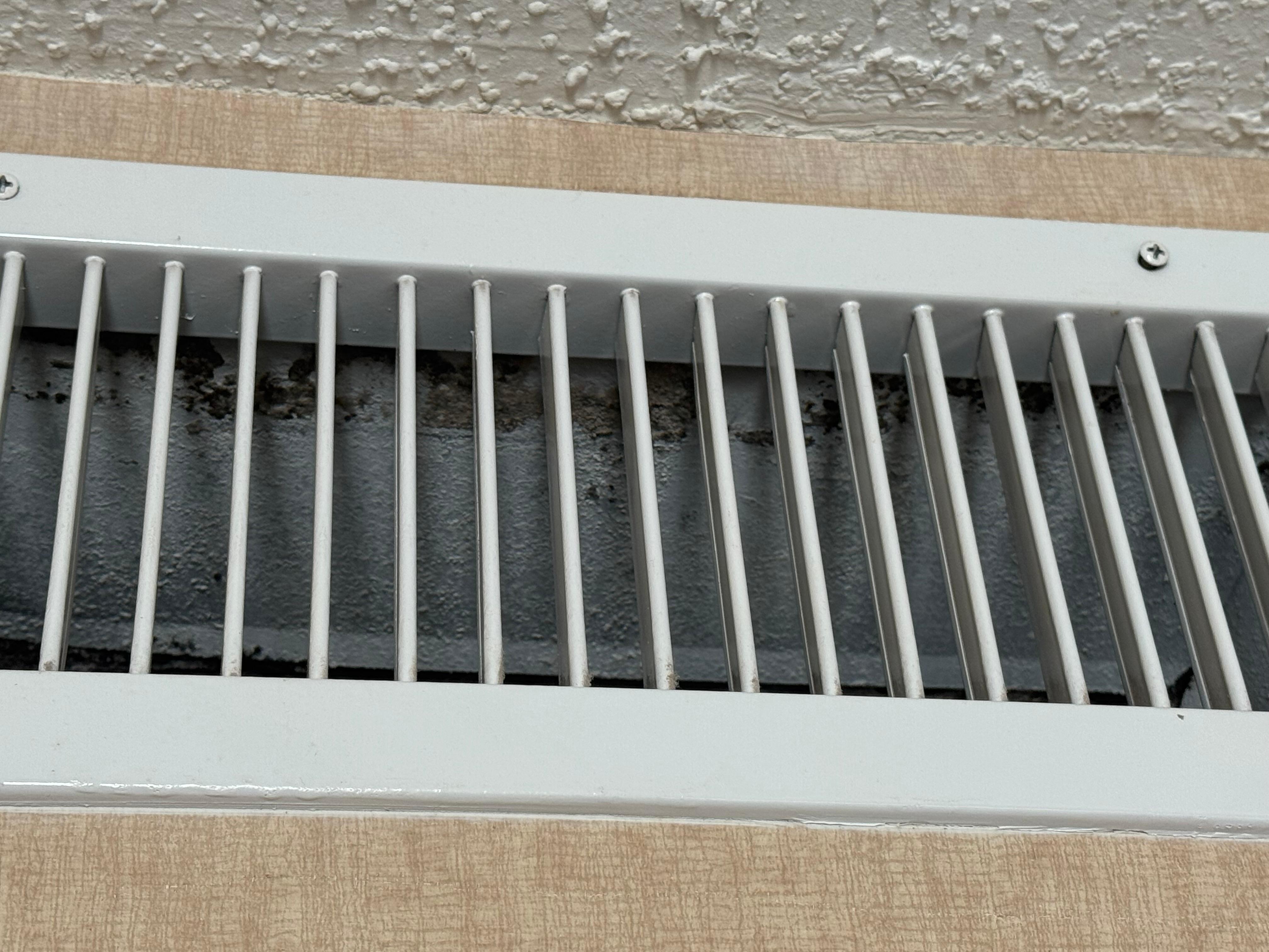 Black mold in vent!