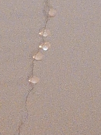 Regenwasser an der Decke