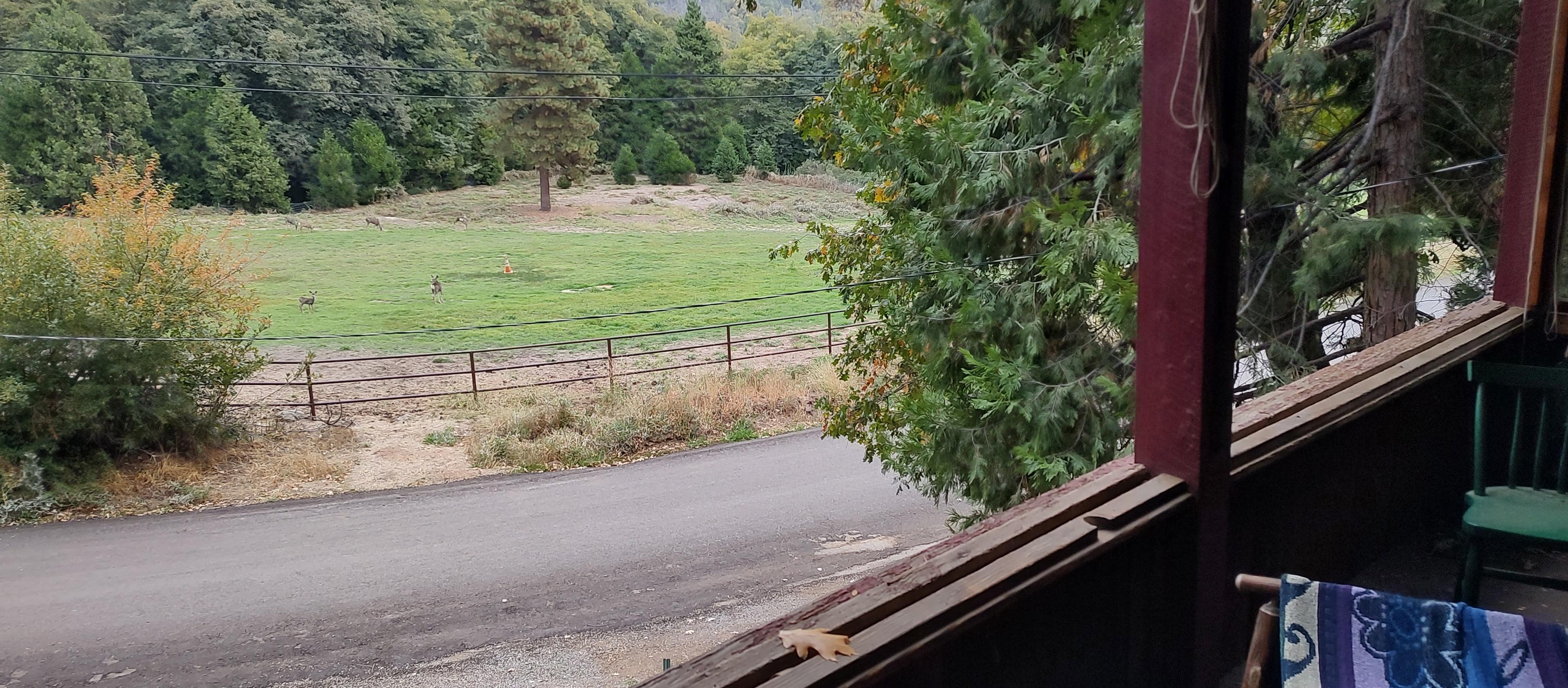 View from the porch.