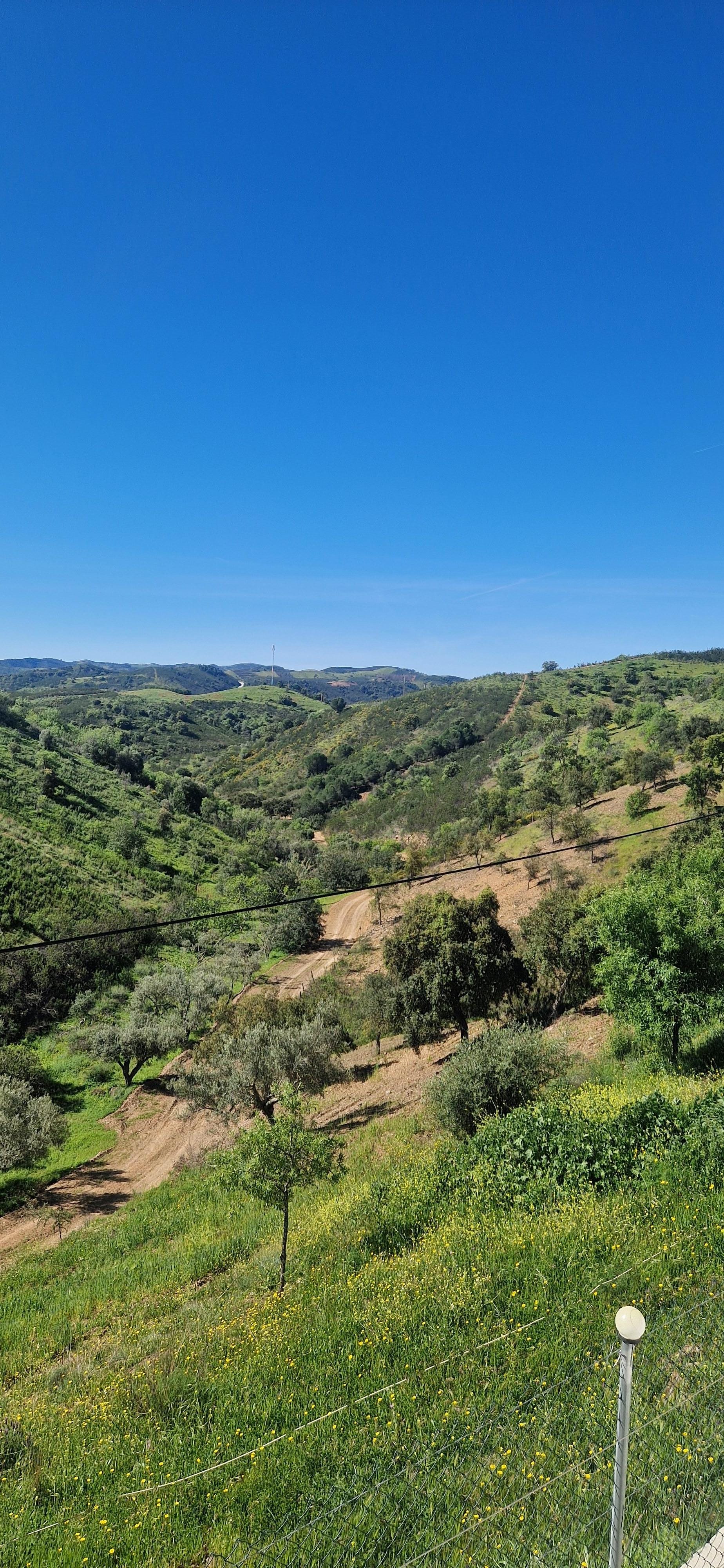 Scenery from a local walk