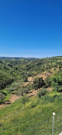 Scenery from a local walk