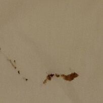 From taking one swipe on the floor