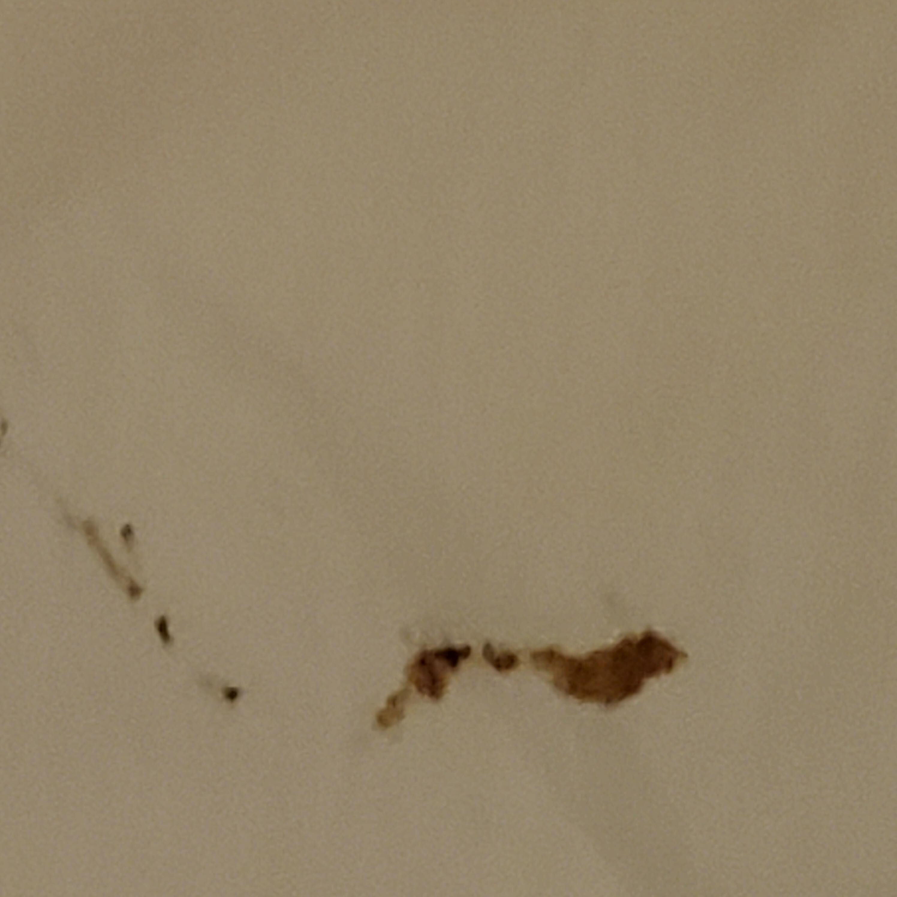 From taking one swipe on the floor
