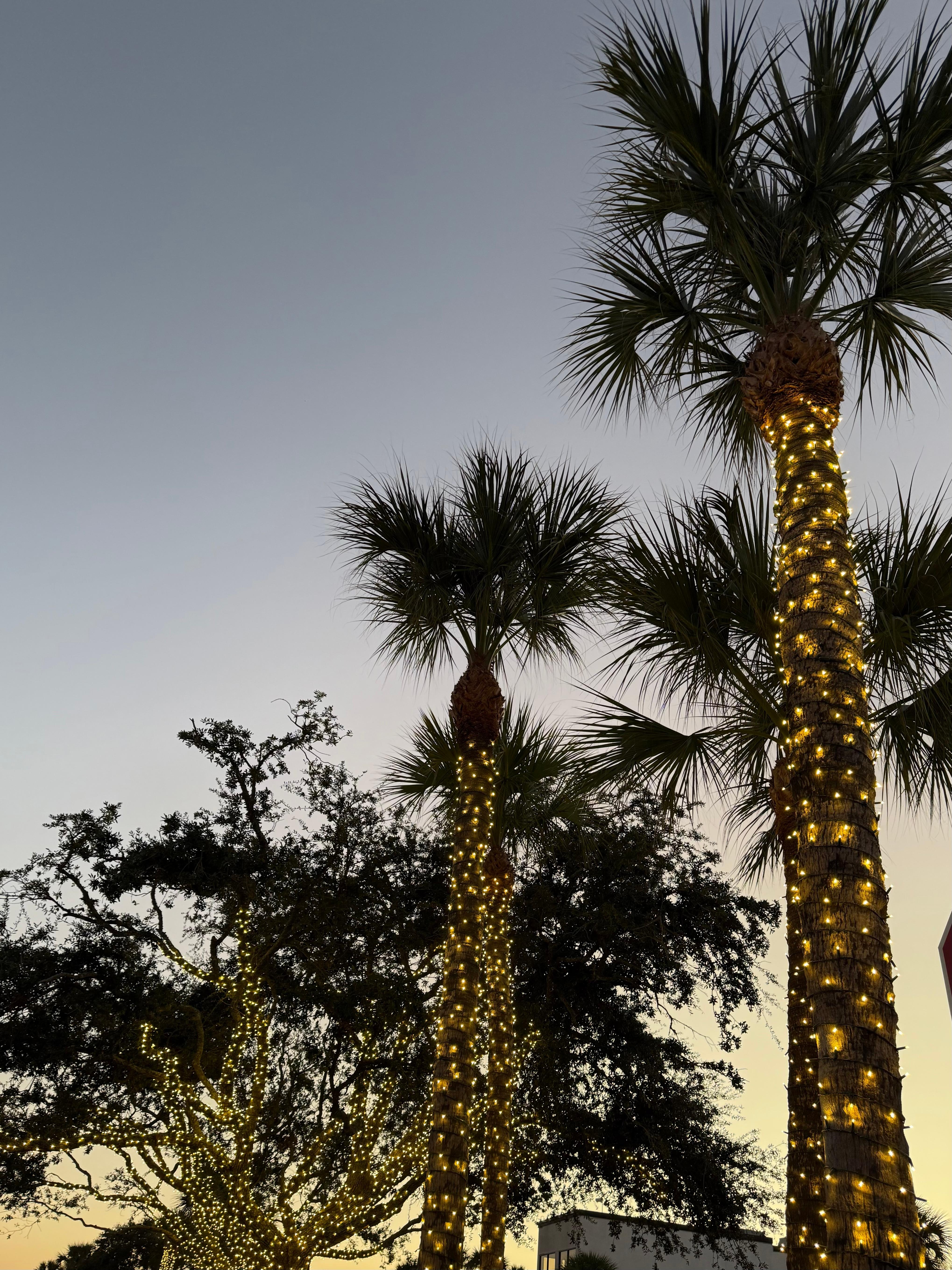 Walking around St Simons village was a pleasure. Plenty of places to eat.