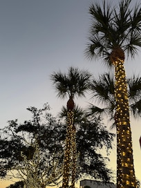 Walking around St Simons village was a pleasure. Plenty of places to eat.