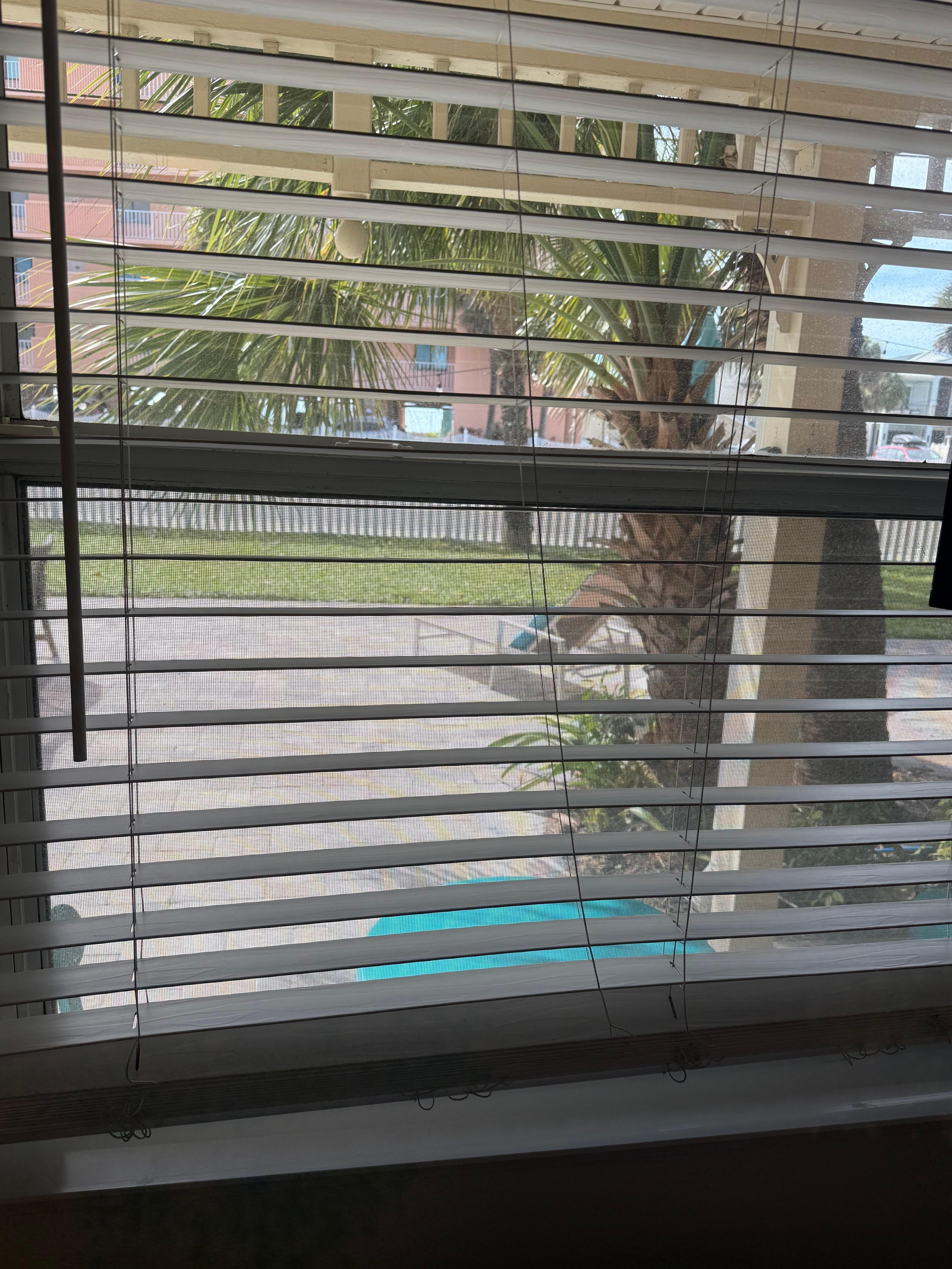 Be sure to close blinds after dark or you’re in a “fishbowl”