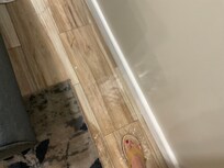 ponding water - free flowing into the unit from the ac compressor and seeping into the walls…no doubt there is now MOLD in the unit! Don’t stay here!