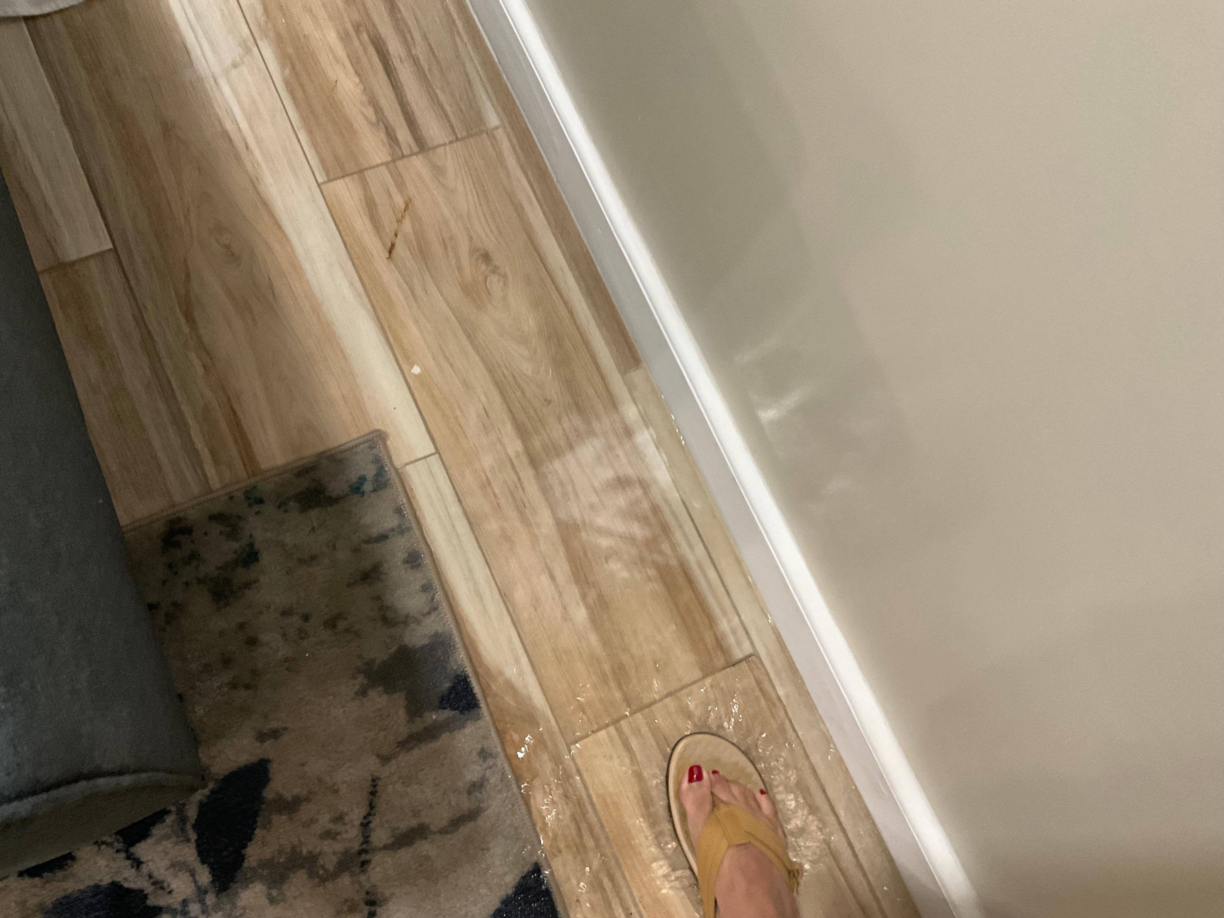 ponding water - free flowing into the unit from the ac compressor and seeping into the walls…no doubt there is now MOLD in the unit!  Don’t stay here!