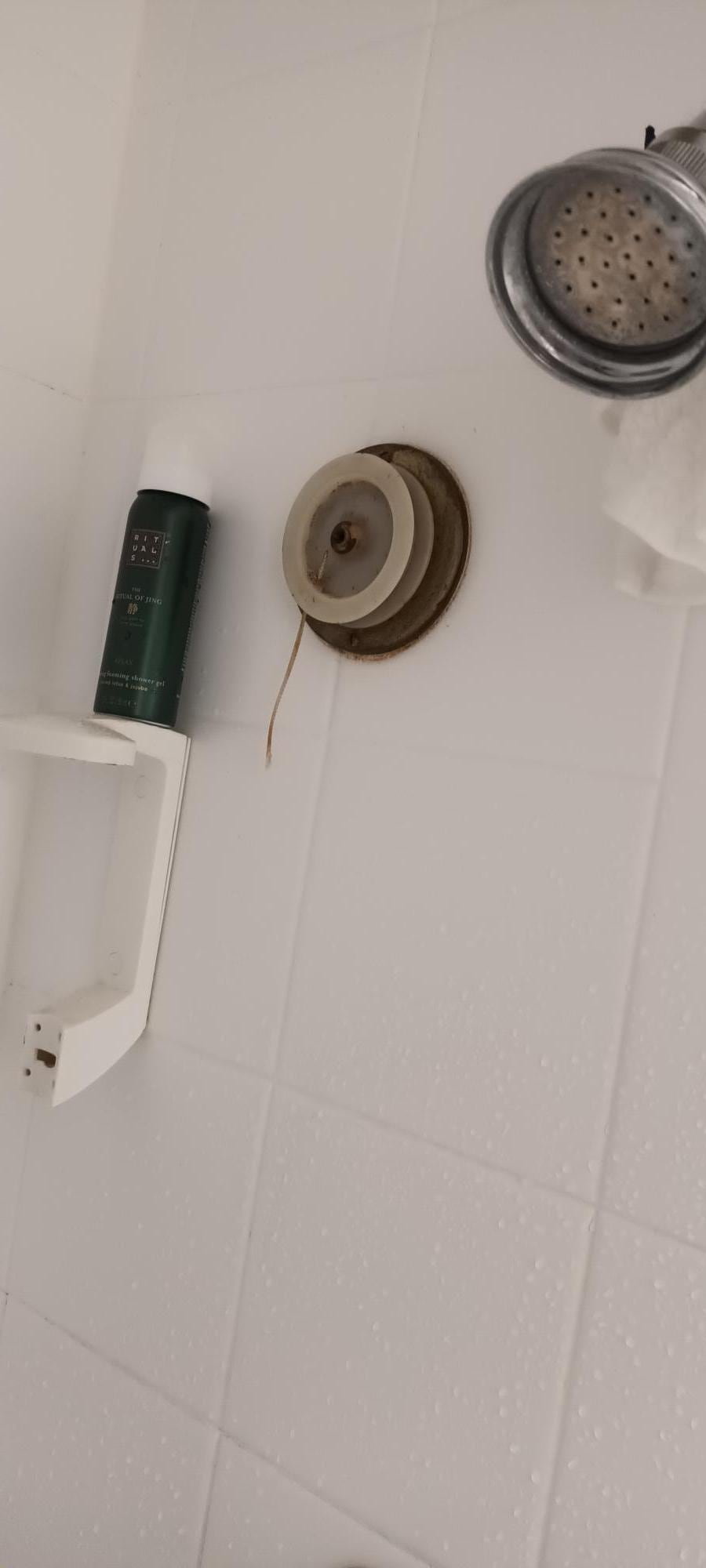 Whats left of what used to be a soap holder and Washing line