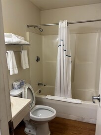 Roaches in bathroom