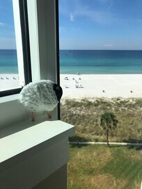 View from the unit -- ignore the lamb... Baaaaab was checking out the sights