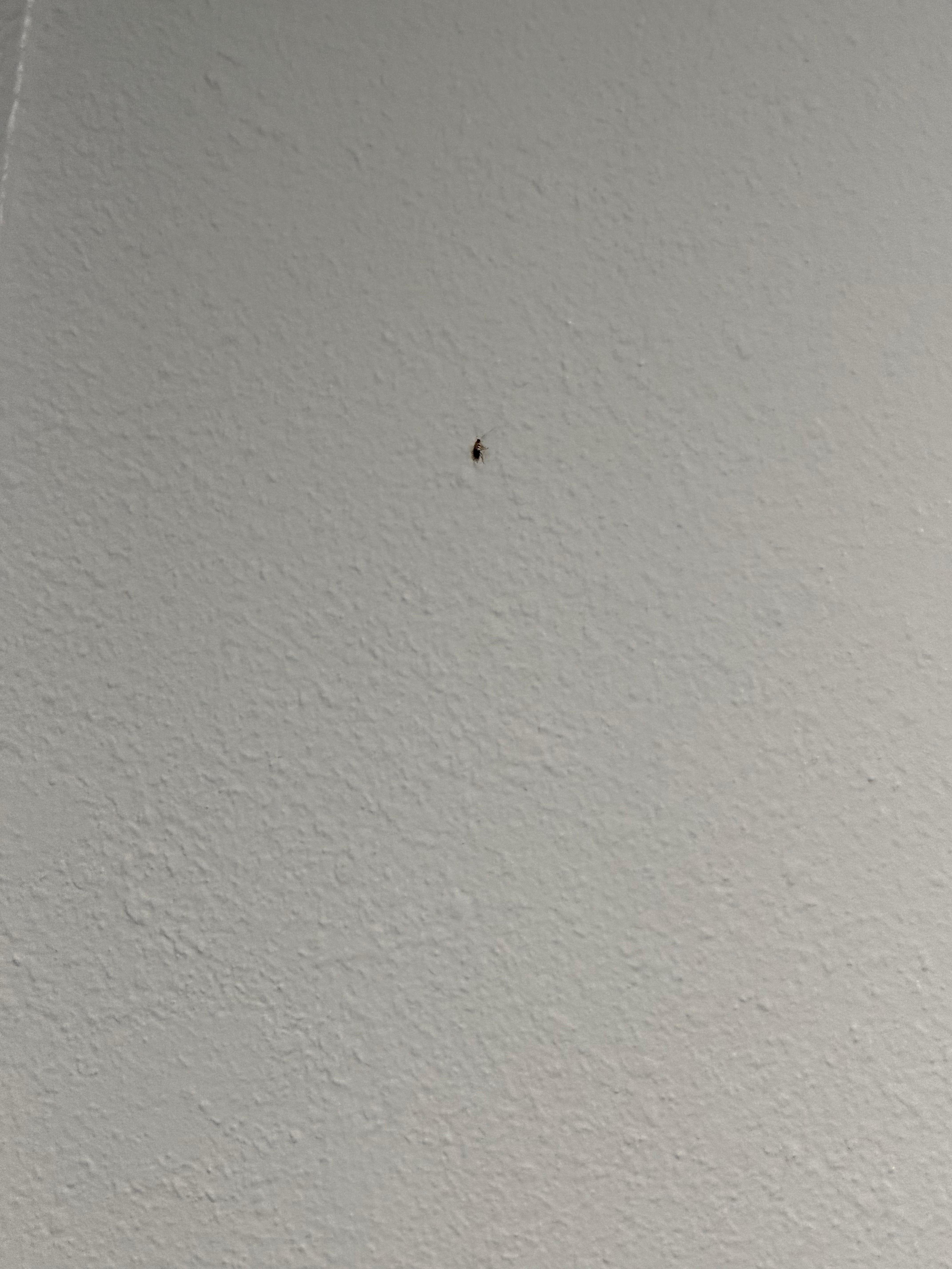 this was in the wall 