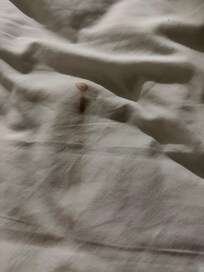Another brown stain on blanket