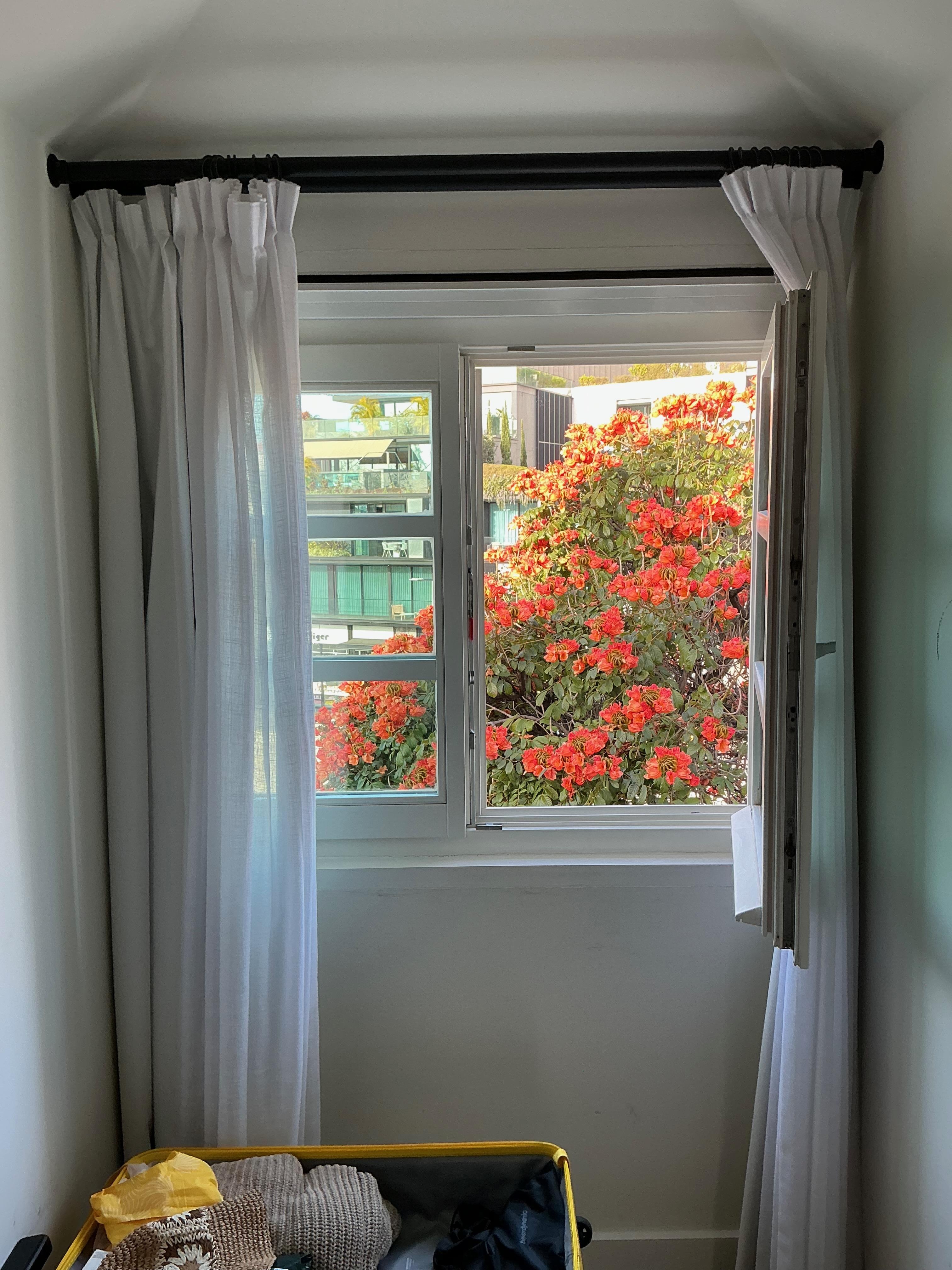 View from the front window of room 'T'