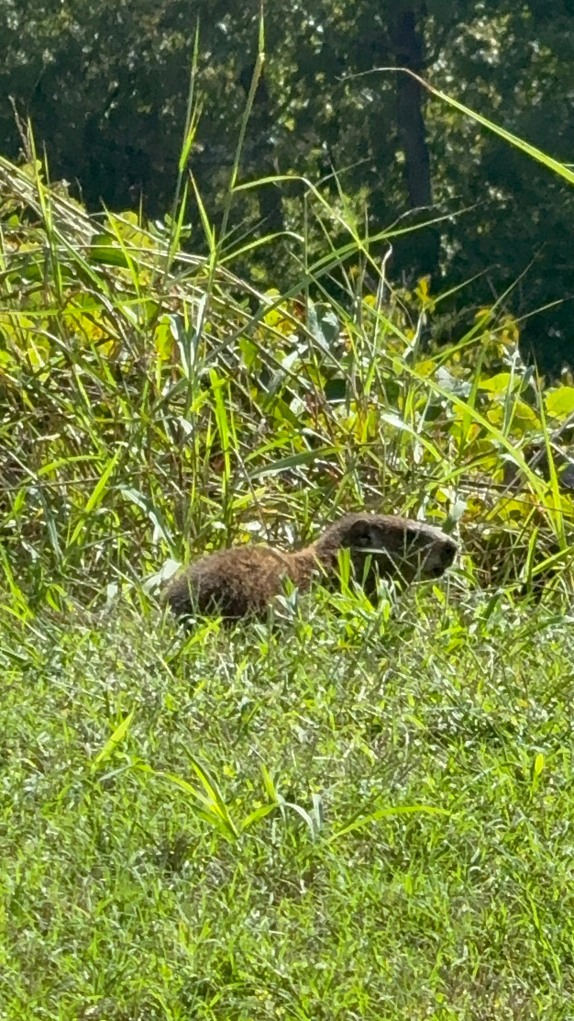 Just outside the apartment 