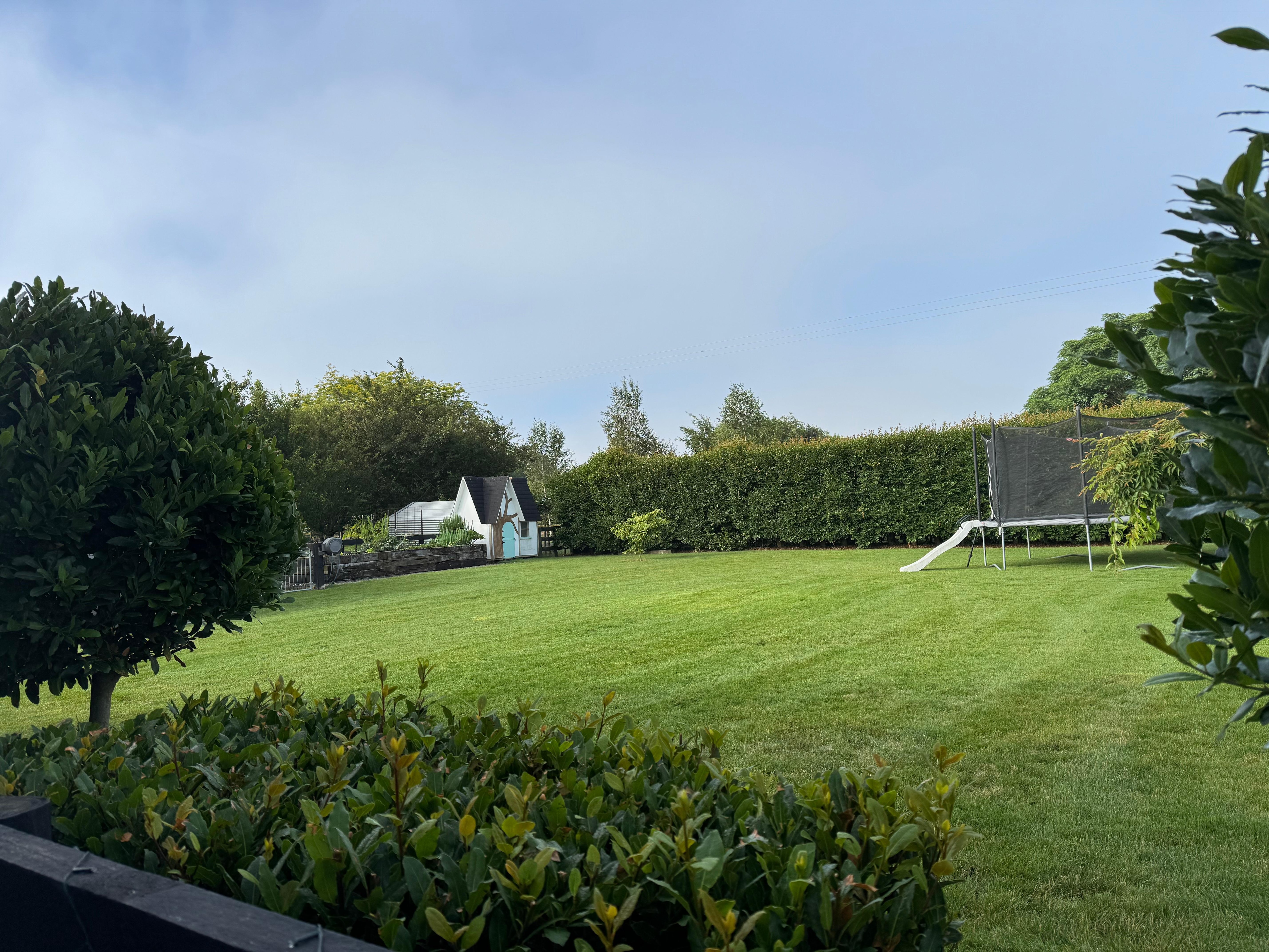 Family friendly back yard