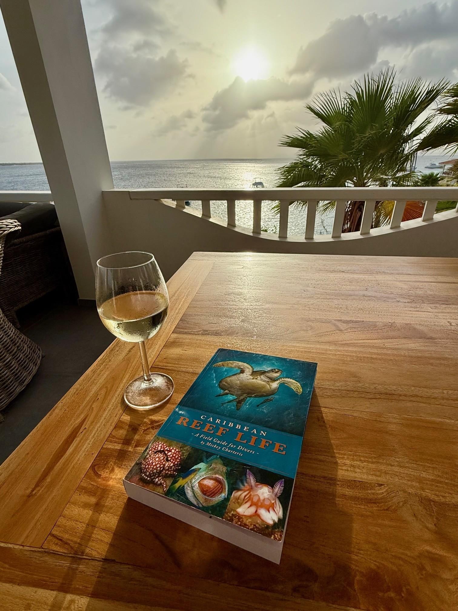 My happy place in the afternoon (wrap around porch with my fish ID book and a glass of vino).