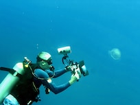 Underwater photography is phenomenal