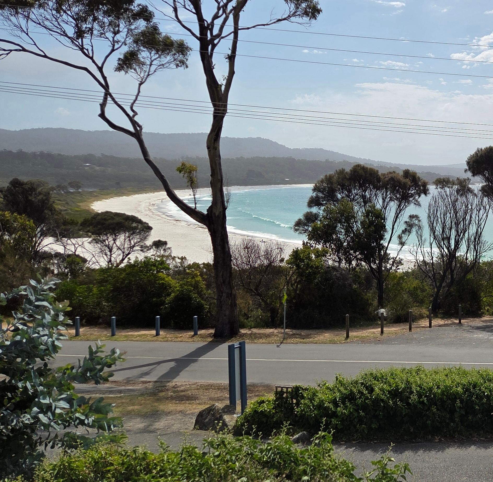 My view out the bedroom 