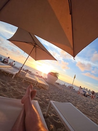 Camastros en la playa